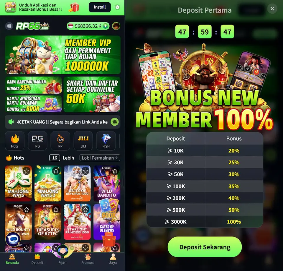 rp66 APK